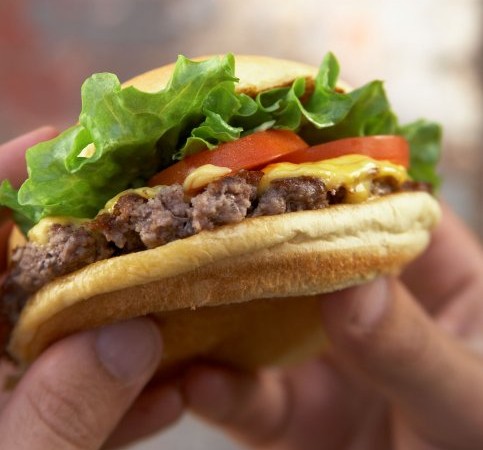 Shake Shack Opens in Boca Raton